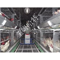 家畜飼養機械產品精選 提升養殖效率與現代化水平